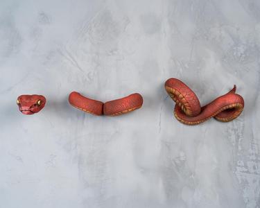 Silent Slither Controller & Headphone Holder
