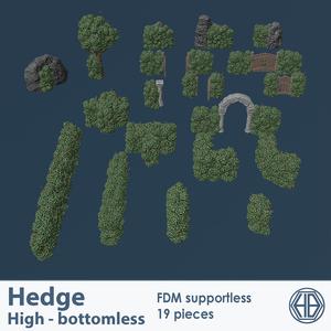 Hedge
