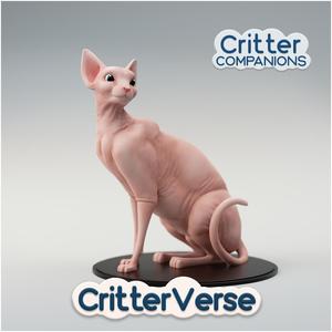 Aria the Sphynx Cat