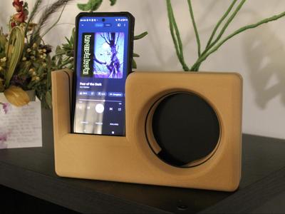 Phone speaker amp