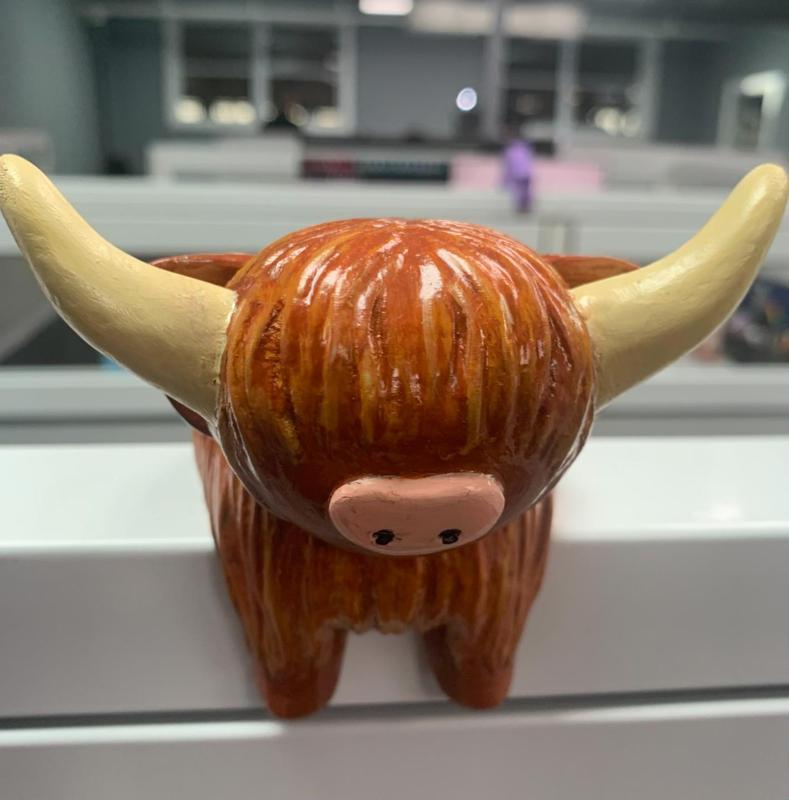 Coo Coat Hanger for Cubicle, Highland Coo