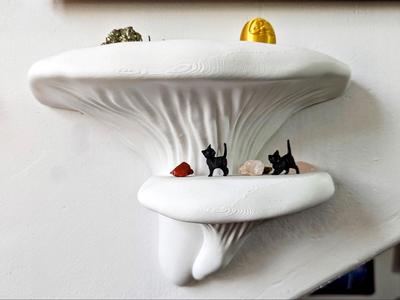 Mushroom Shelf