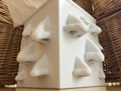 Nose Box
