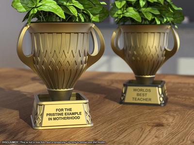Mothers/Teachers day Trophy-Self watering planter