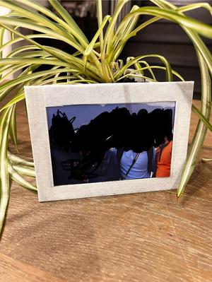 Picture Frame Planter 4x6 inch picture