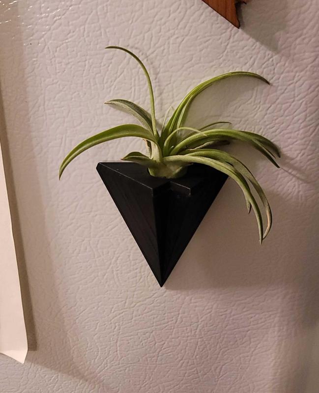 Magnetic Air Plant Holder
