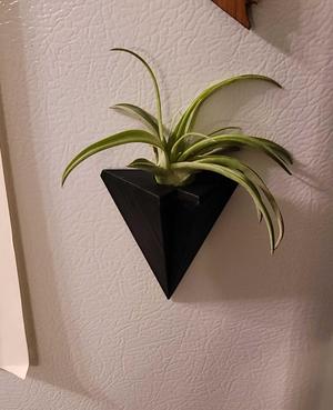 Magnetic Air Plant Holder