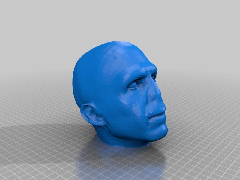 Voldemort Head