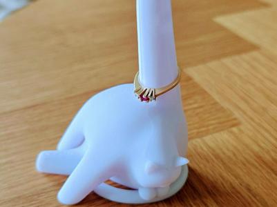 Cat Licking Rear Ringholder