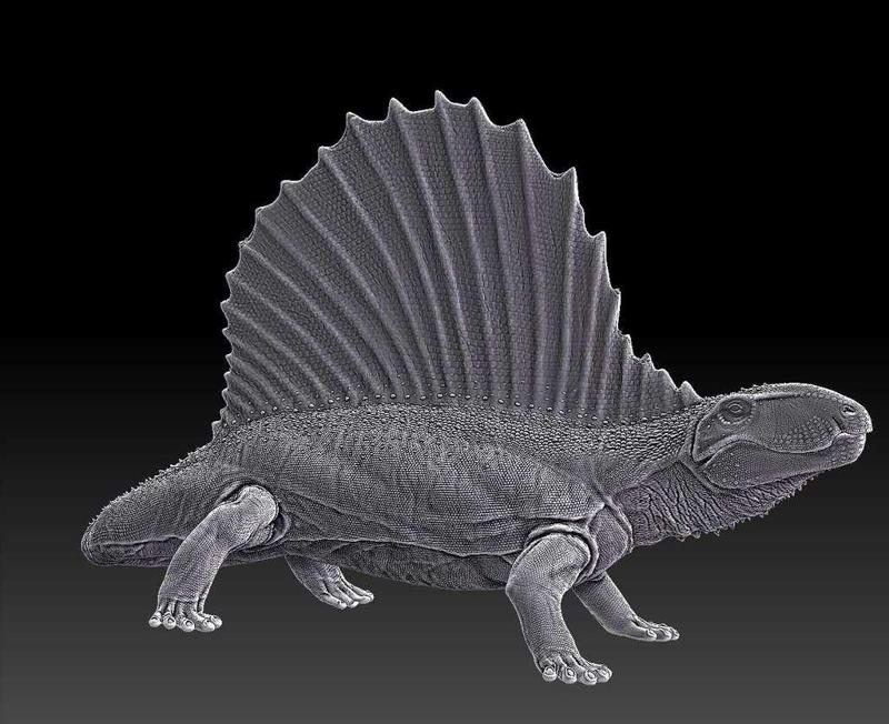 Dimetrodon - Wrath of the Goliaths
