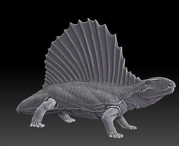 Dimetrodon - Wrath of the Goliaths