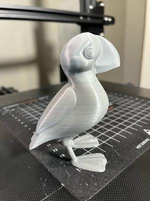 Cute Puffin