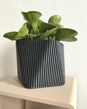Meva - a versatile planter (wall or table)