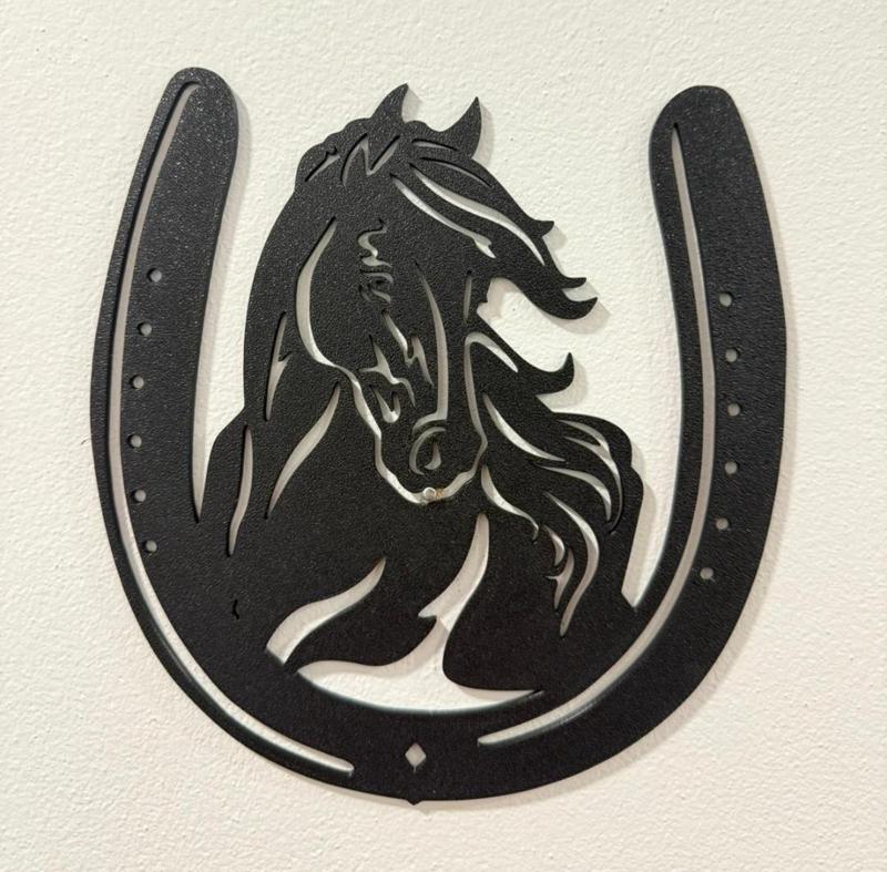 A horse in a horseshoe