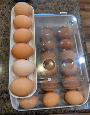 Egg Shelf