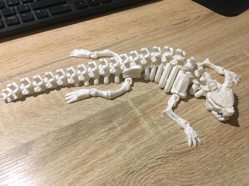 Articulated Skeleton Dragon Without Wings V2 