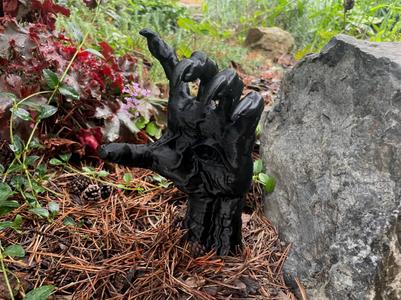 The witch's hand