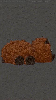 Holly the Highland Cow