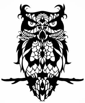 2D owl