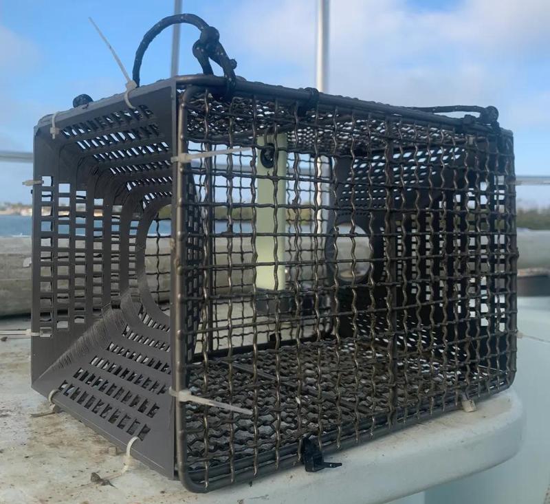 Titanium Bait Trap   