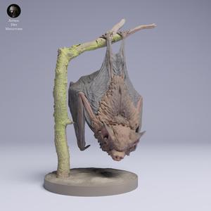 Kitti's Hog-Nosed (Bumblebee) Bat