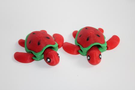 Watermelon Turtle