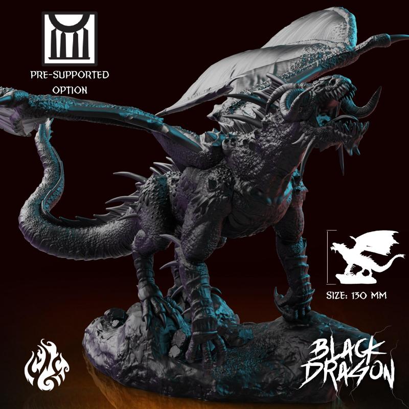 Black Dragon