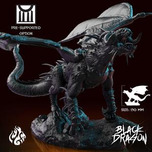 Black Dragon