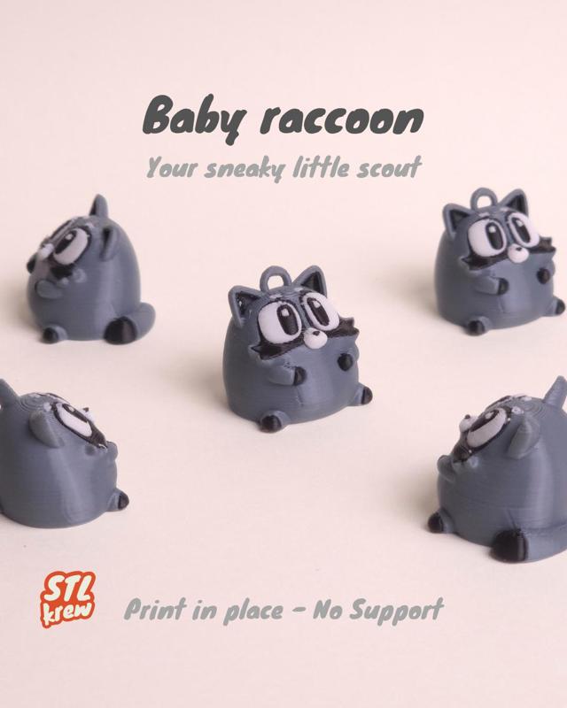 Cute Small Raccoon - Rookie, no support