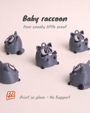 Cute Small Raccoon - Rookie, no support
