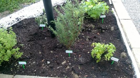 Herb garden label
