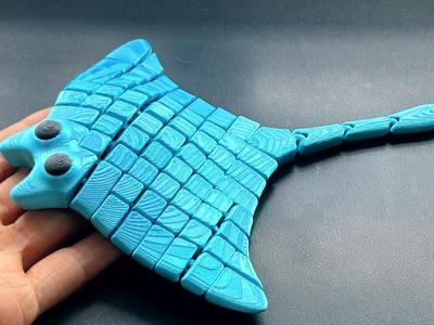 cute flexi manta ray - adorable manta ray