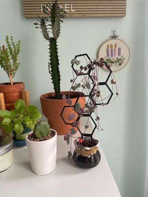 Hexagon House Plant Trellis 