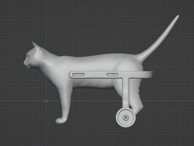 Cat Wheelchair