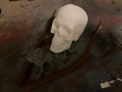 Human skull