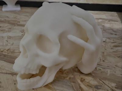 Skull with Hands