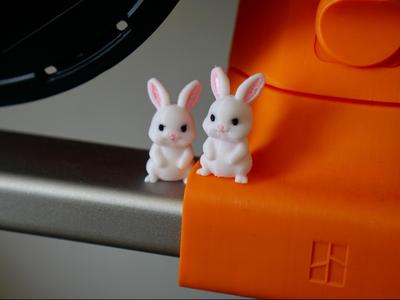 Cute Tiny Rabbit