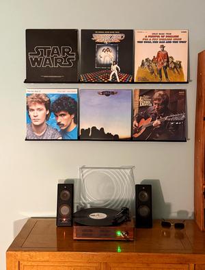 Vinyl Record Wall Shelf