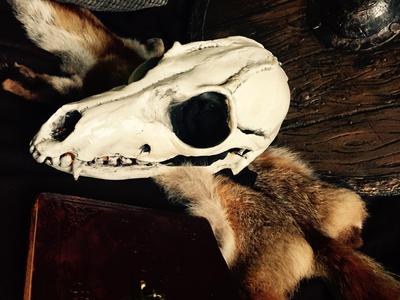 Shaman Mask