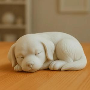Asleep Dog   