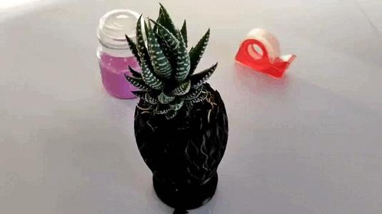 Design anti-gravity planter