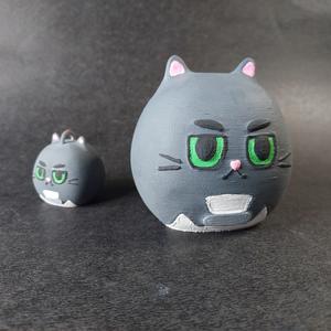 Tobaias the gaming kitty cat !