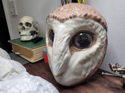 Barn Owl Mask