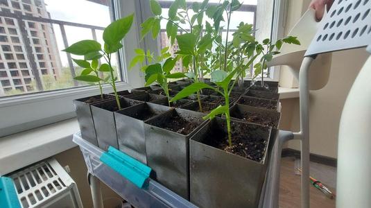 Ultra lightweight plant pot #0017
