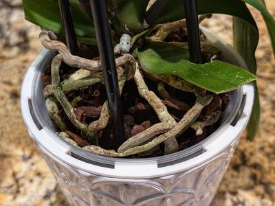 Cache pot spacer