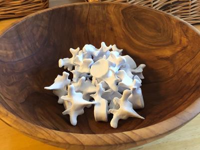 Big Bowl O’ Back Bones (Numbered)