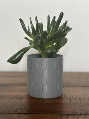 Honeycomb Harmony 3D Printed Indoor Plant Pot - 5 Inch