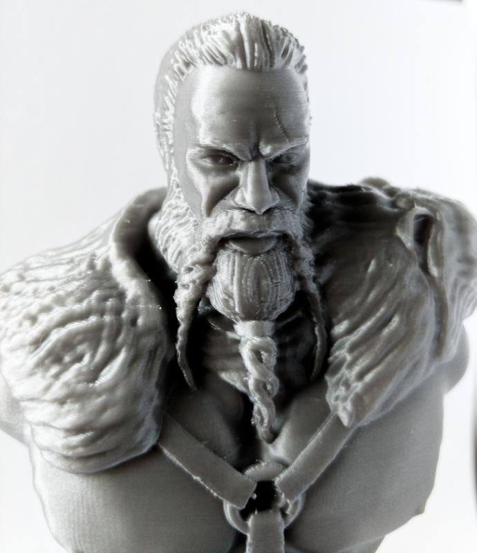 Viking Warrior