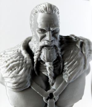 Viking Warrior
