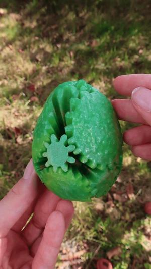 Avocado Gear Ball Fidget Toy